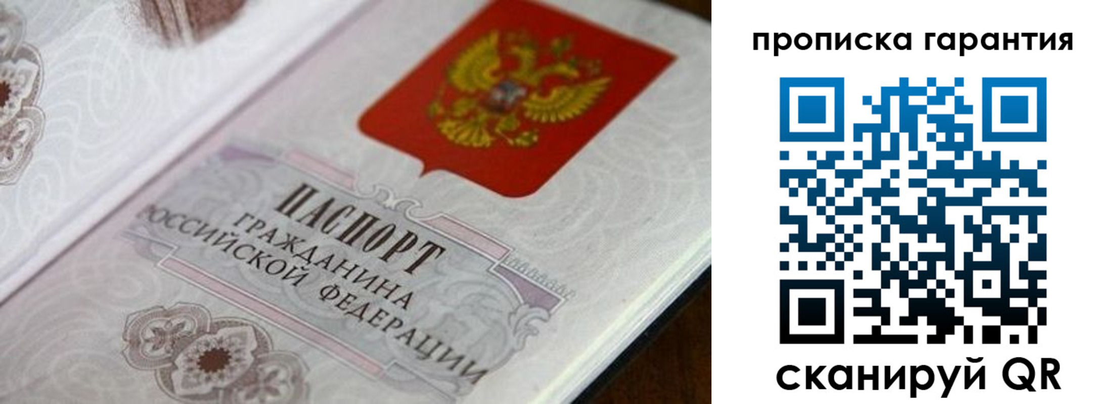 прописка законно в Мытищах